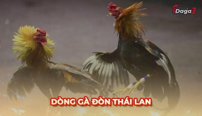 Tìm hiểu về Gà đòn Thái Lan chi tiết nhất tại Đá Gà TV